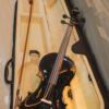 black violin1