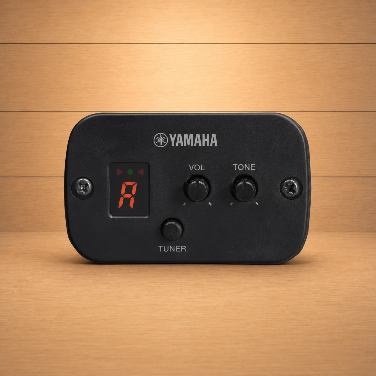 Suranagana Yamaha F280 No4